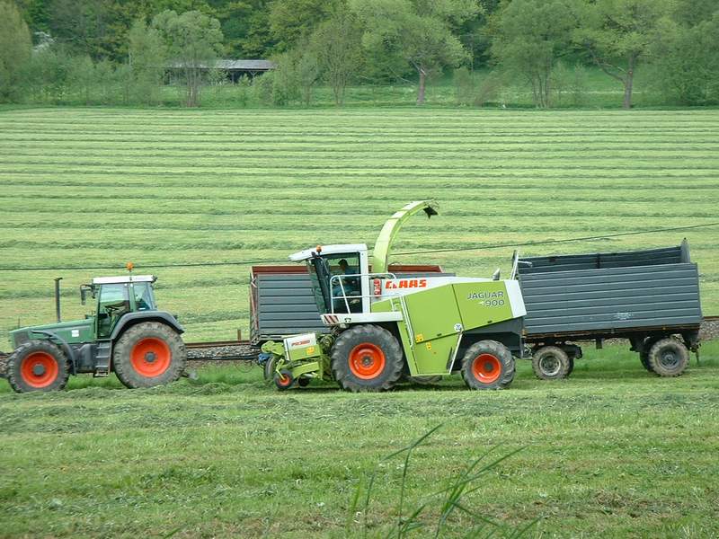 jaguar_900 _+_fendt_824_5.jpg